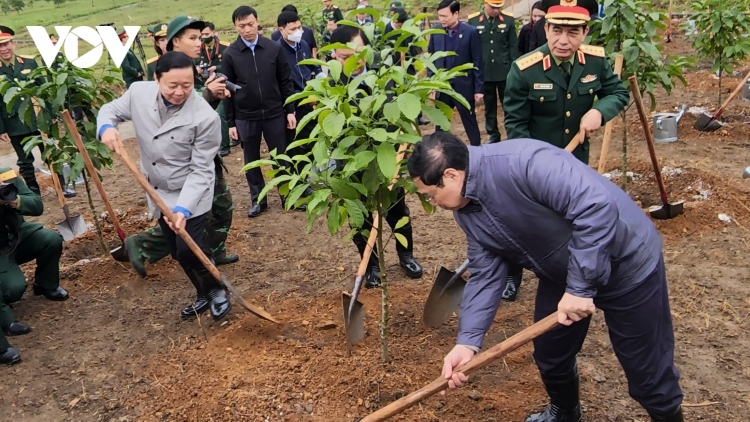 PM launches tree planting festival in lunar New Year